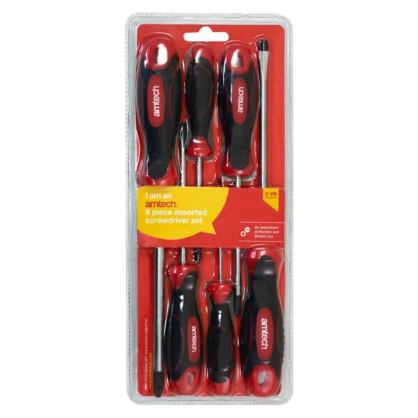 6pcs Assorted screwdriver set (PZ + SL)