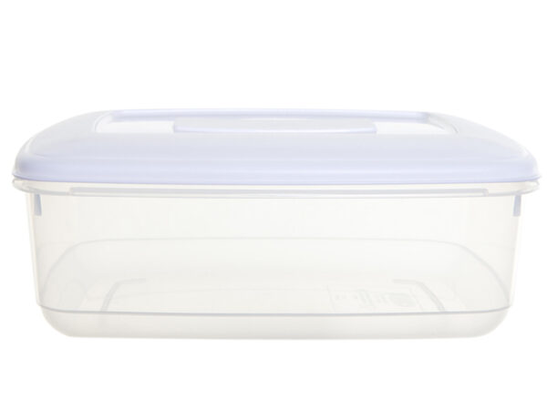 Food Storage Box With Lid 2L