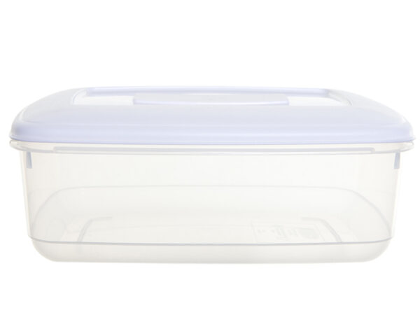 Food Storage Box With Lid 3L