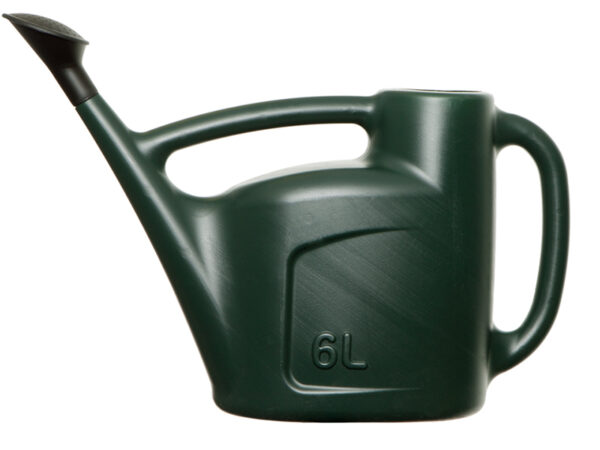 Budget Watering Can Green 6L